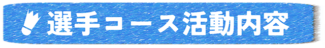 活動内容